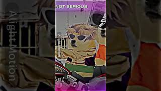 Mr Cheems Ch, Colt                   Not serious vs serious