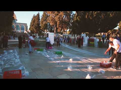 Ramadan Iftar project at Masjid Al-Aqsa