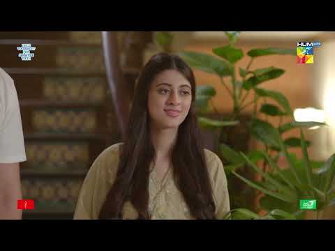 Meharunnisa, Mahir Aur Shano Ke Maamlay Ko Le Kar Dukhi - Dobara - HUM TV