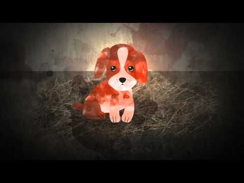 TASSO informiert: "Wühltischwelpen - nein danke!" - Animationsfilm gegen illegalen Welpenhandel