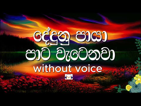 Dedunu Paya Karaoke (without voice) දේදුනු පායා | Sinhala Music Tracks