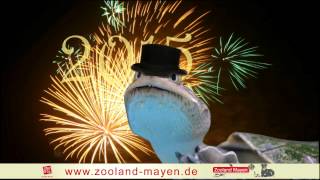 preview picture of video 'Silvestergruß 2015 Zooland Mayen'