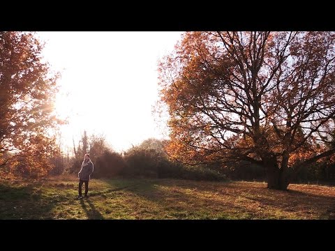 Shut Up & Sit Down's Christmas Advert, 2016