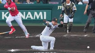 「勝利目前で崩壊…甲子園が沈黙した“あの瞬間”😨」#阪神タイガース#プロ野球#甲子園#岩崎優#サヨナラゲーム#野球ハイライト#劇的展開#スポーツニュース#延長戦#プロ野球速報