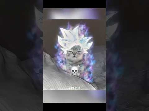 ☠️DOGS VS CATS☠️ (THE ETERNAL BATTLE)#edit #aura #trollfaceedit #dog #cat #funny #anime #dogs #cats