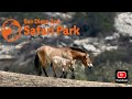Safari Park State Of The Park Autumn 2025