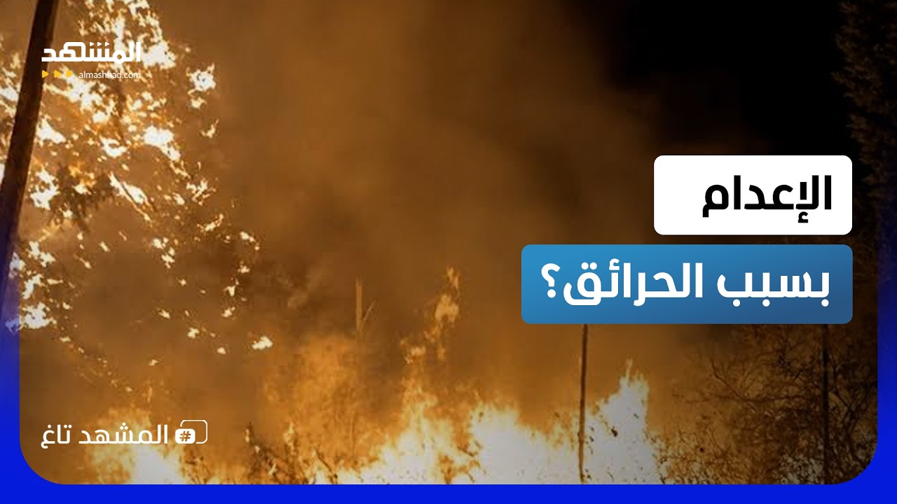 تبون يفتح باب الإعدام.. ومقطع غامض يشعل الشكوك بعد حرائق الجزائر! - المشهد تاغ
