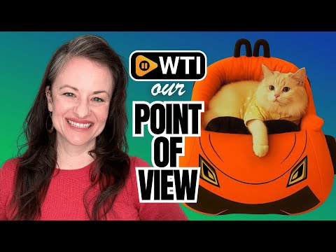 Cute Cat Beds Kitten Beds - WTI product video review