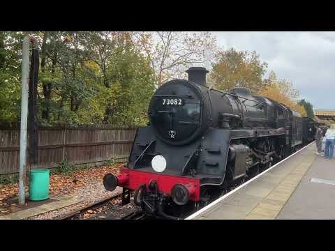 The Bluebells are Coming