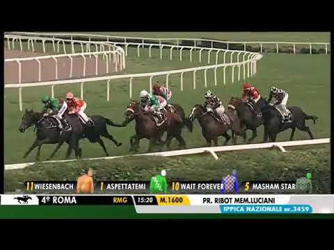 2018.11.04 Premio Ribot (ITA) - Masham Star