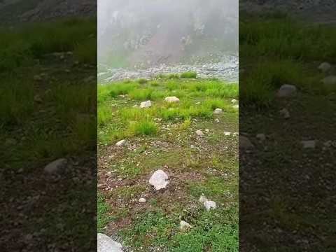 British vs American Pronunciation of “Fog” | Correct English Pronunciation Guide