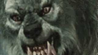 Wizard - A Taste Of Fear (...Of Wariwulfs and Bluotvarwes)