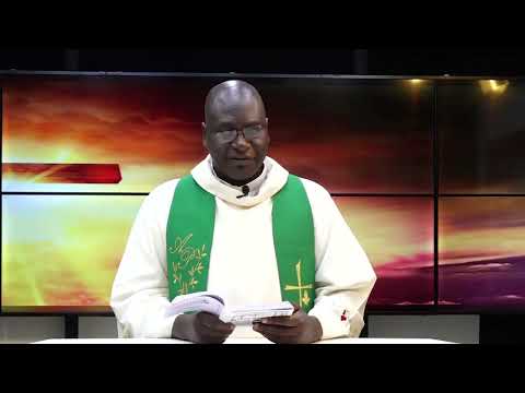 Évangile du jour du 13 novembre 2025