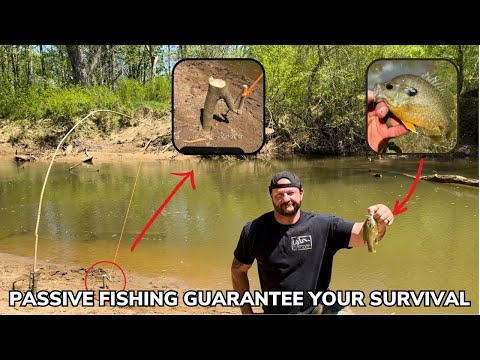 Passive Fishing 101 How To Catch More Fish Using an Automatic Fishing Pole