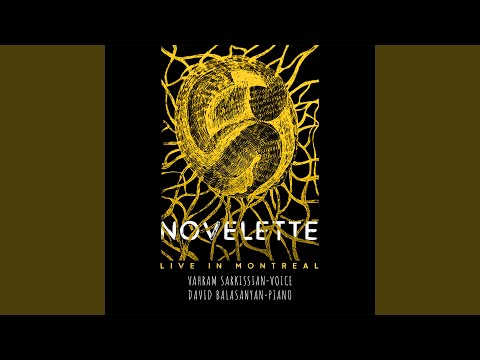 An Interrupted Flight (Live in Montreal)