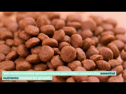 Essential Guide to Kitten Mousse: Feeding Tips for Healthy Growth and Development