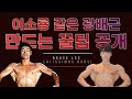 이소룡 광배근 만드는 꿀팁 / 날다람쥐 되는 등운동