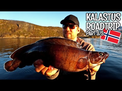 TOLJA, KOLVA, MOLVA VAI KEILA? - KALAREISSU NORJAAN 2022, OSA 3 - SKJERVOY - SKEJRVOYBRUA