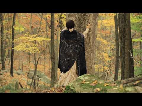 Video thumbnail for The Birds Scatter To The Wood
