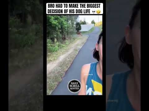 😭🔥 #scrillhassan #chicago  #california #detroit #funny #comedy #shorts #fyp #gfunk #dog