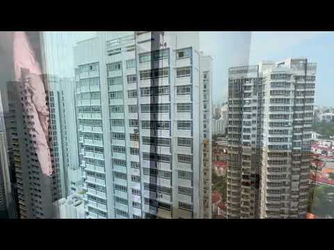 127D Kim Tian Road, 127D Kim Tian Road, Room Rental, 90 sqft, HDB Flat For Rent, by Wilson Lim, 500175996 - PropertyGuru.com.sg