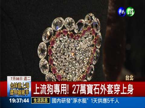 寵物用品展登場 吃.穿比人還好!