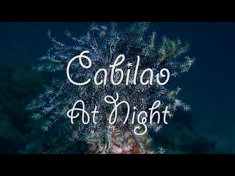 Cabilao At Night, Cabilao Island,Philippinen