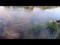 Посмотреть видео обзор Видео обзор