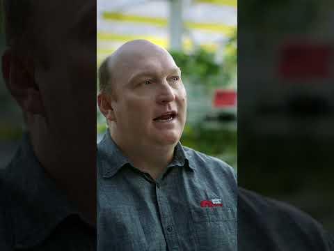 Growing with AI | Intel