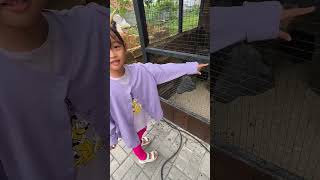 Download lagu Main Seru di The Nice Playland Pasar Kamis Tangerang | Playground Anak & Wahana Keluarga #Viral mp3