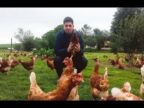 [HD] Lebensmittel-Check mit Tim Mälzer - Wie gut sind unsere Eier (Doku)