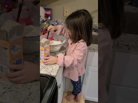 Chewy Chocolate Chip Cookies by Alton Brown