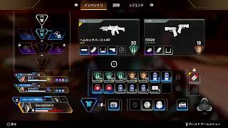敵多すぎ問題　でも処理していく～　最後仲間思い強すぎて死す