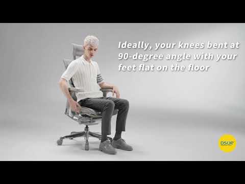 IOO Elite 2.0 Ergonomic High Back Chair