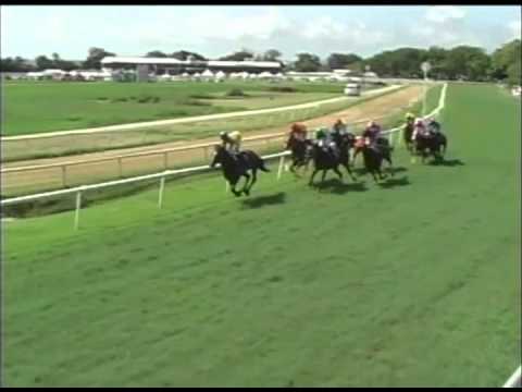 Race#4 August 9, 2014 Massy United Insurance Derby Day