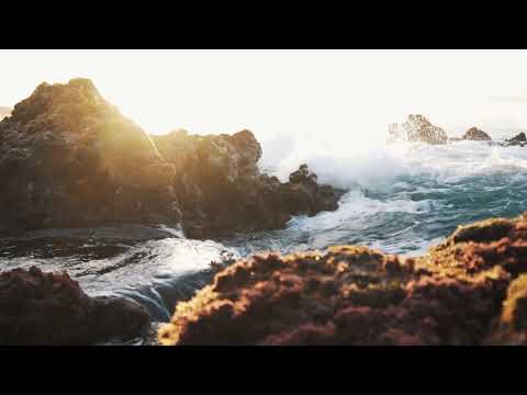 Rockocko Gang - Rockocko Gang: Rocknaissance