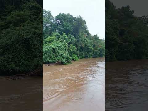 João pescador de traíra... Rio Canaã - Cacaulandia - Rondônia.