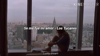 Los Tucanes de tijuana - Se fue mi amor // Letra