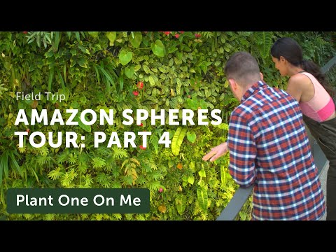 Amazon Spheres Tour: Part 4 — Ep 154