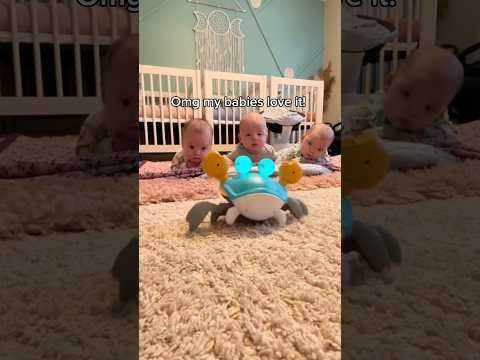 Rechargeable Crawling Crab Baby Toys for 6 to 12 Months with Light & Sound