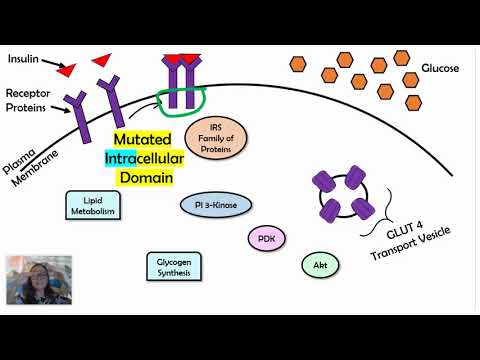 Example Of Signal Transduction Pathway: Detailed Login ...