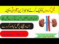 Wazifa For Kidney Failure Kidney Failure Ka Ilaj Wazifa For Kidney Problems Kidney Pain
