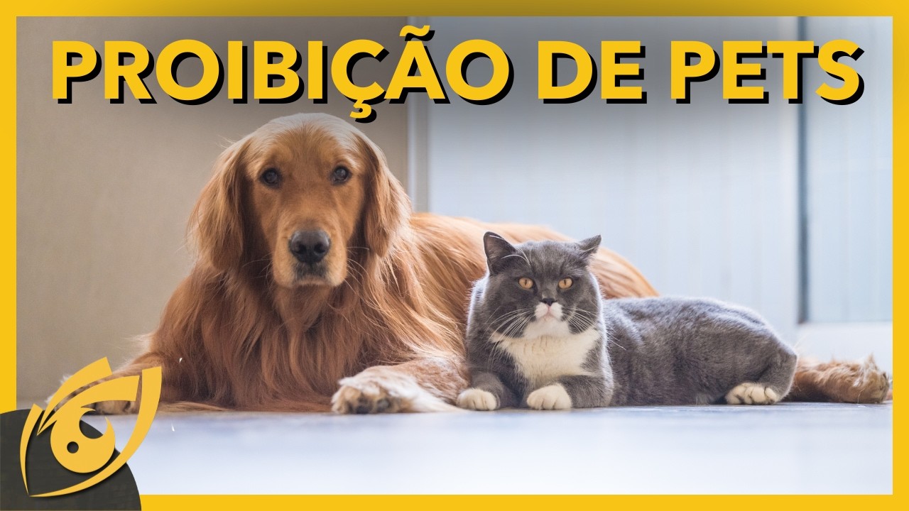 STJ decide que condomínios NÃO PODEM proibir pets