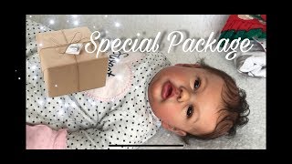 How to Put a Reborn Baby in a Flat Rate Box| Penny by Natali Blick