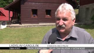preview picture of video 'Velká cena Valašska v sečení kosů 2013 - Prlov'