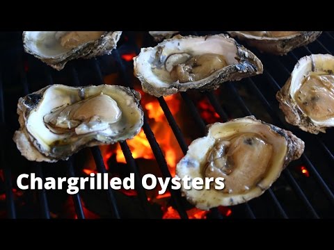 download lagu mp3 mp4 Charcoal Oysters, download lagu Charcoal Oysters gratis, unduh video klip Charcoal Oysters