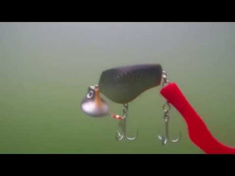 Headbanger Tail lure - Introduction