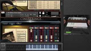 Video thumbnail for CineStrings CORE - Patch Walkthrough by Cinesamples