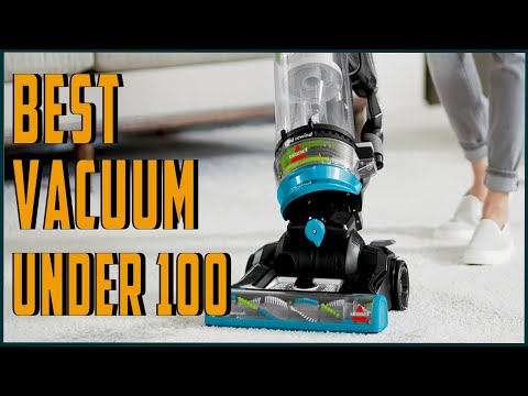 image-Can I vacuum around my budgie?
