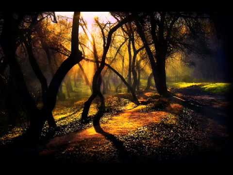 Grieg - Peace of the woods